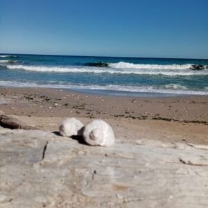 Alternative view of Ausbildung Reiki 1. Grad